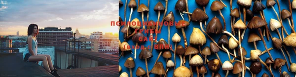 индика Армянск