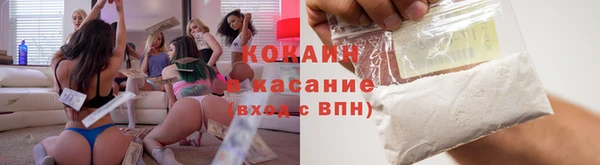 индика Армянск