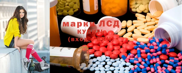 индика Армянск