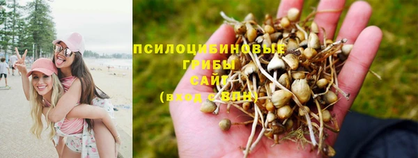 не бодяженный Арсеньев